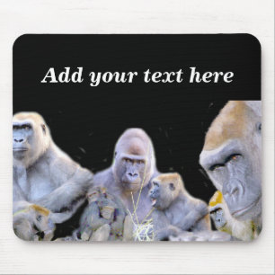 Gorillas & Chimpanzees_ Musmatta