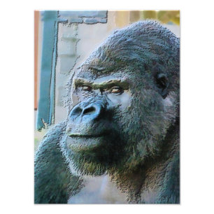 GORILLAS FOTOTRYCK