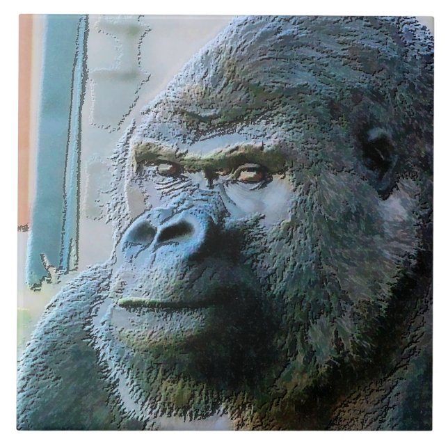 GORILLAS KAKELPLATTA (Framsidan)