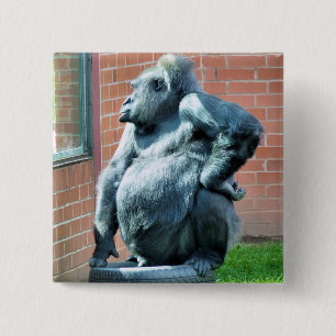 GORILLAS KNAPP