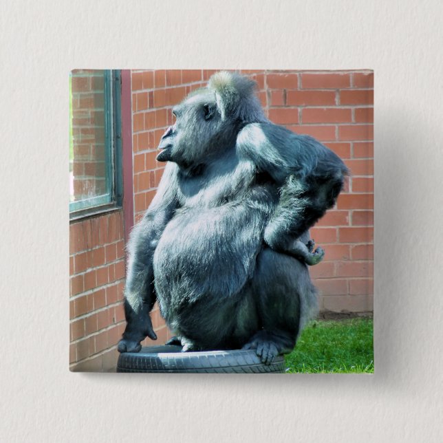 GORILLAS KNAPP (Framsida)