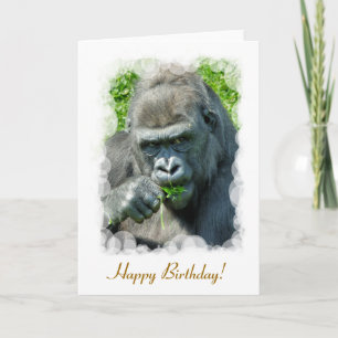 GORILLAS KORT