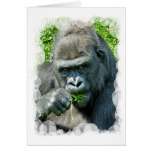 GORILLAS-kort Hälsningskort