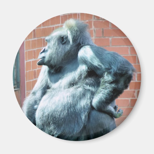 GORILLAS MAGNET (Framsidan)