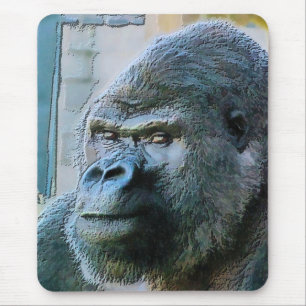 GORILLAS MUSMATTA