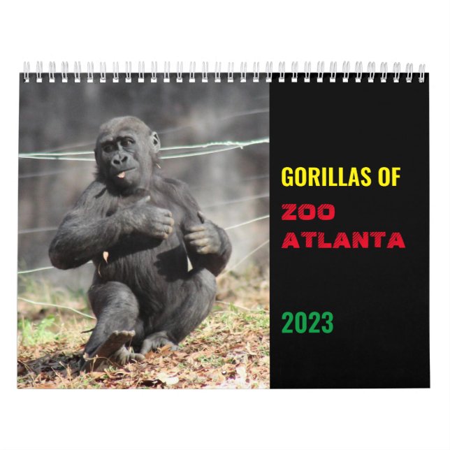 Gorillas of Zoo Atlanta 2023 Calendar Kalender (Omslag)