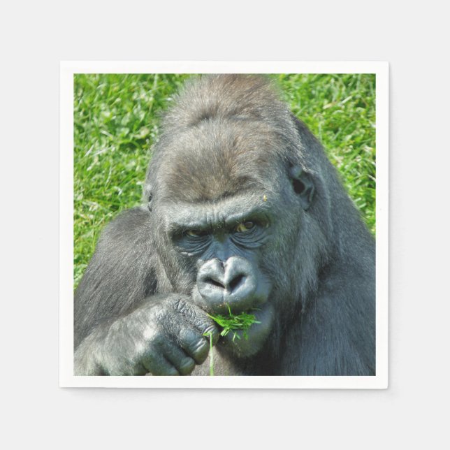 GORILLAS PAPPERSSERVETT (Framsidan)