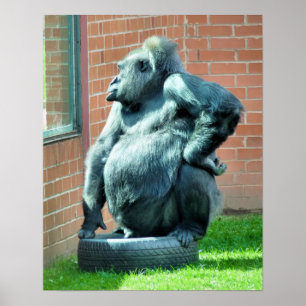 GORILLAS POSTER