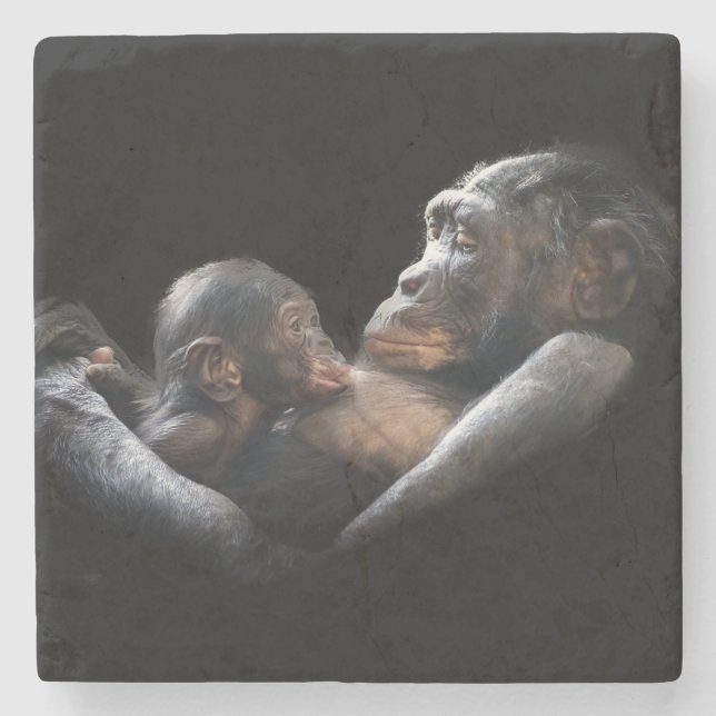 Gorillas Stenunderlägg (Framsidan)