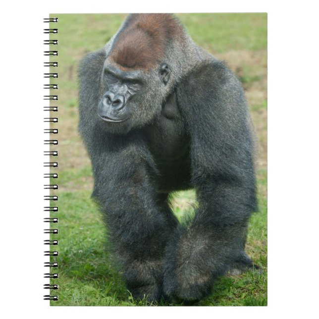 Gorillaspråk för styrka anteckningsbok (Framsidan)