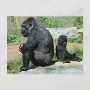 GorillaTime ut vykort