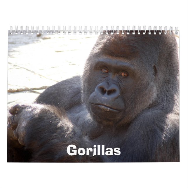 Gorillor Calendar, gorillor Kalender (Omslag)