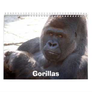 Gorillor Calendar, gorillor Kalender