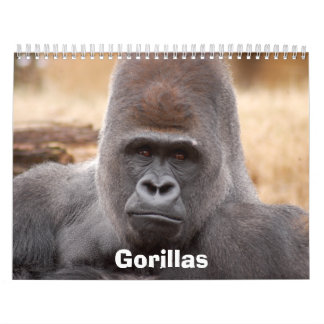 Gorillor Calendar, gorillor Kalender