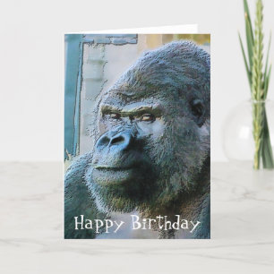 GORILLOR KORT