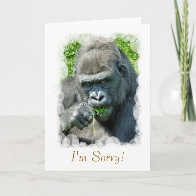 GORILLOR KORT (Framsida)