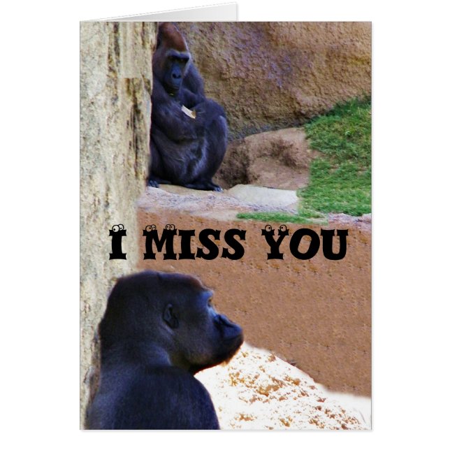 Gorillor_ OBS Kort (Framsidan)