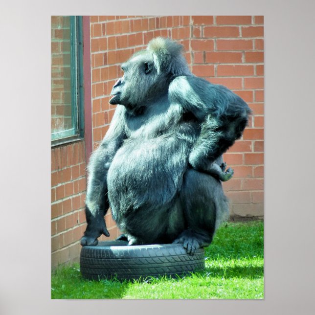 GORILLOR POSTER (Framsidan)