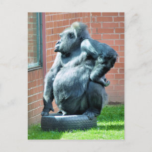 GORILLOR VYKORT