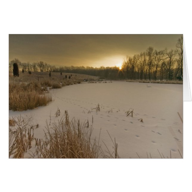 Gorman vintersoluppgång OBS kort (Framsidan Horizontal)