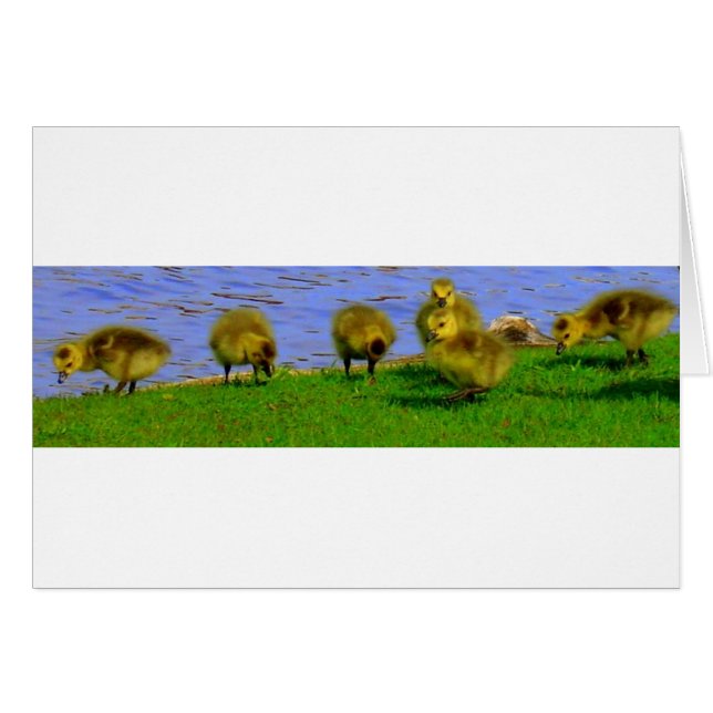 goselement hälsningskort (Framsidan Horizontal)