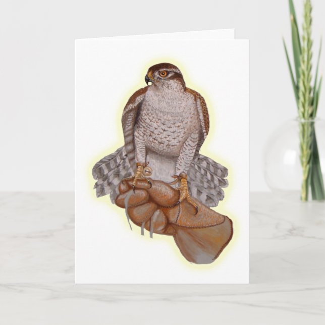 Goshawk Greeting Card. Kort (Framsida)