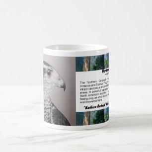 Goshawk mugg