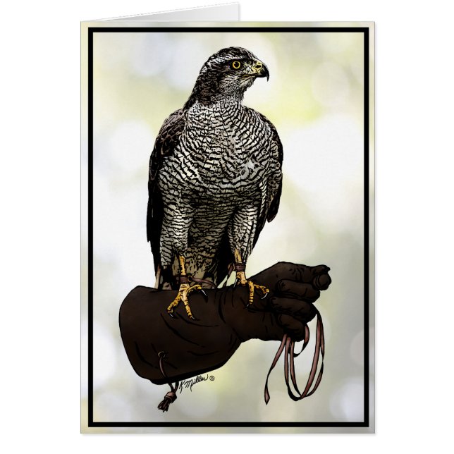 Goshawk på handsken hälsningskort (Framsidan)