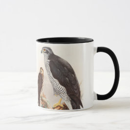 GoshawkJohn Gould fåglar av det Storbritannien Mugg