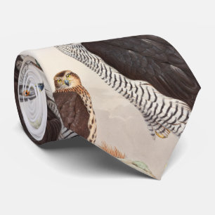 GoshawkJohn Gould fåglar av det Storbritannien Slips