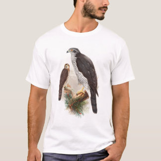 GoshawkJohn Gould fåglar av det Storbritannien Tee