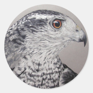 Goshawkklistermärkear Runt Klistermärke
