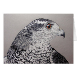 Goshawkkort Hälsningskort