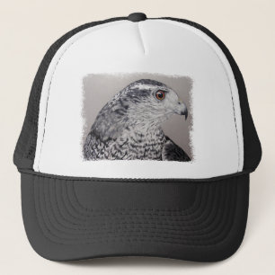 Goshawklock Keps