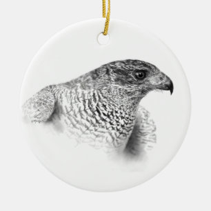 Goshawkteckning Julgransprydnad Keramik