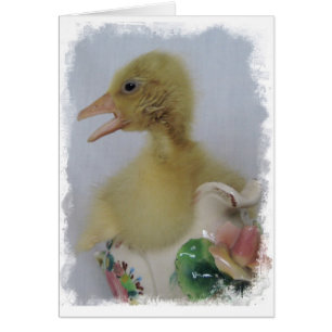 Gosling Hälsningskort