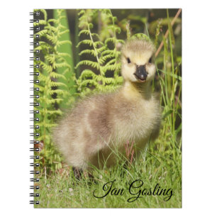 Gosling (Kanada Goose) Anteckningsbok