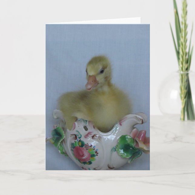 Gosling Kort (Framsida)