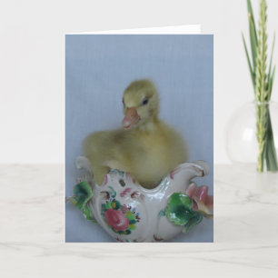 Gosling Kort
