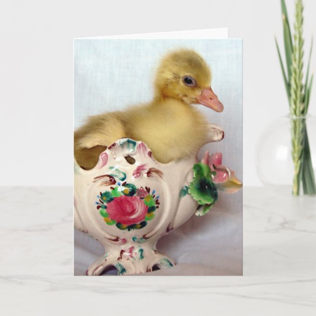 Gosling Kort (Framsida)