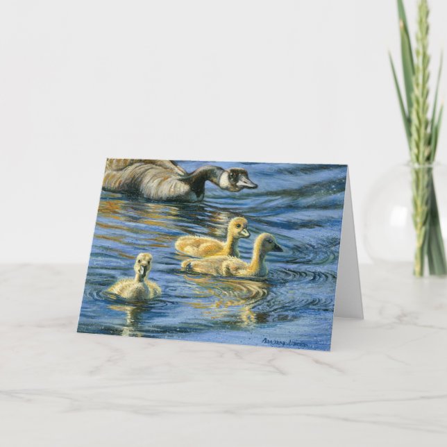 "Gosling Round-Up" Kort (Framsida)