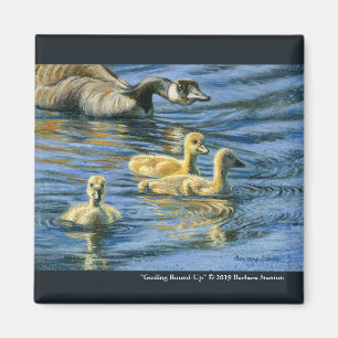 "Gosling Round Up" Magnet