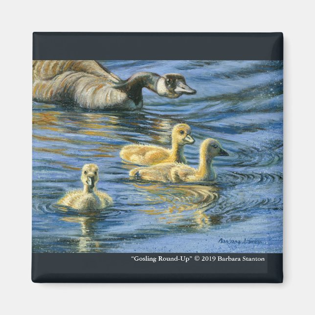 "Gosling Round-Up" Magnet (Framsidan)