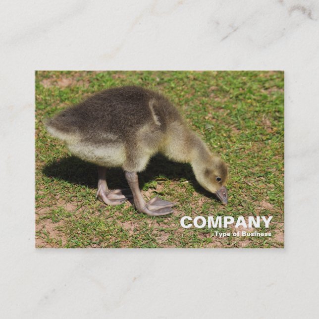 Gosling Visitkort (Framsida)