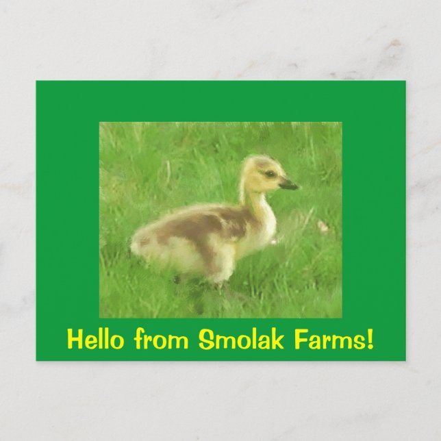 Gosling-vykort Vykort (Framsida)