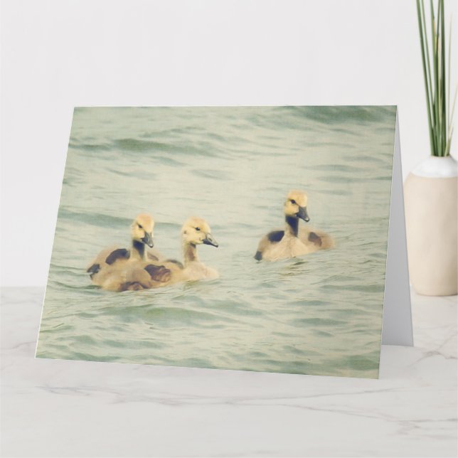 Goslings Baby Geese Big Note Card Kort (Framsida)