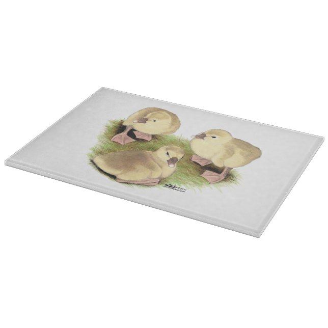 Goslings: Buff African (Hörn)