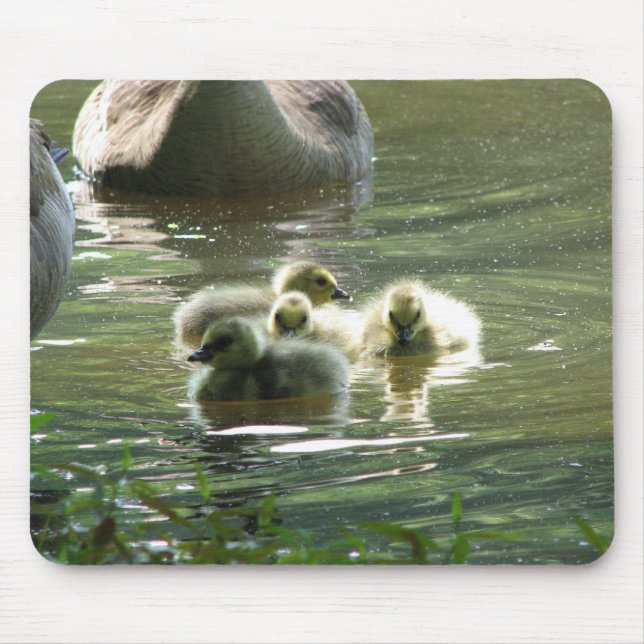 Goslings Mousepad Musmatta (Framsidan)
