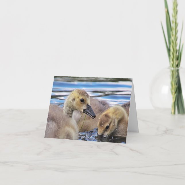 Goslings noterar kort (Framsida)