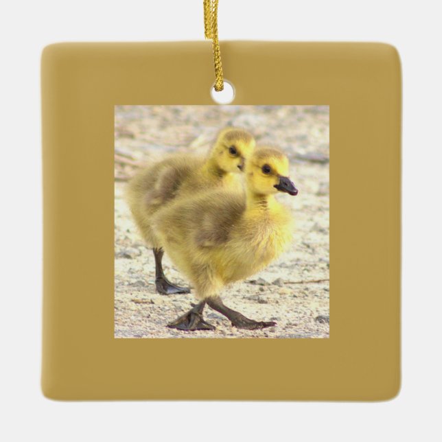 Goslings Photo Ornament (Framsida)